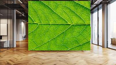 Close-up of green leaf Wall mural