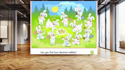 Logic puzzle for children and adults. Can you find two identical rabbits? Page for kids brain teaser book. Task for attentiveness. IQ test. Play online. Easter Bunny Games. Vector cartoon image. Wall mural