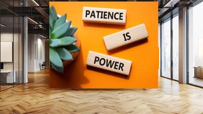 Patience is Power symbol. Concept words Patience is Power on wooden blocks. Beautiful orange background. Business and Patience is Power concept. Copy space. Wall mural