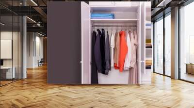 wardrobe with stylish women's clothing in perfect order. Copy paste for text Wall mural