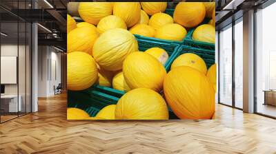 Ripe yellow melons in the store. Selling melons. Ripe melons in a supermarket and market. Sweet melon. Wall mural