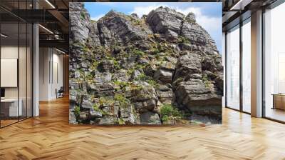 steep rocky cliff./ steep rocky cliff stretching into the sky. Wall mural