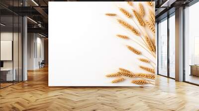 Ears of wheat on a white background Wall mural