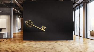 Golden vintage key on a black background highlighted with light horizontal photo Wall mural