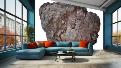 Sea cracked granite textured rock on transparent background. Close up stone background for design. Wall mural