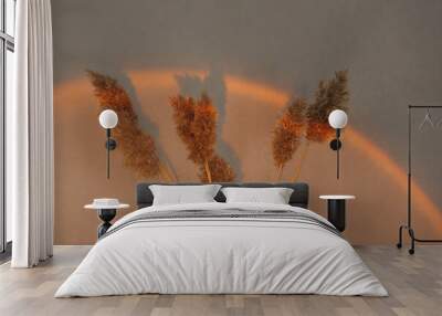 Reeds against the background of sunlight. Wall mural