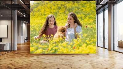 Two teenage girls with a dog in nature communicate and have fun. The dog breed toy poodle of red color. The girls are in a meadow with yellow flowers and poppies. Weekend in nature. Paint. Nature. Wall mural