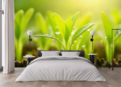 The bright leaves of the green shoots, sparkling in the sun, symbolize freshness and health Wall mural