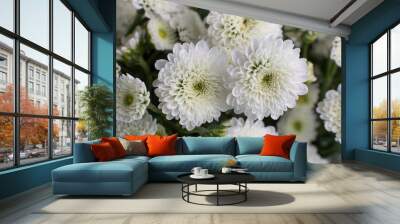 flowers chrysanthemum calimero snow santini Wall mural