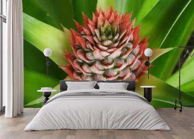 Beautiful tropical pineapple flower on natural leaves background, closeup Wall mural