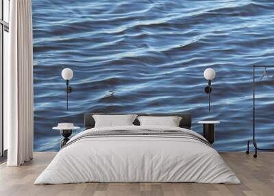 Natural rippled blue water surface texture, closeup Wall mural