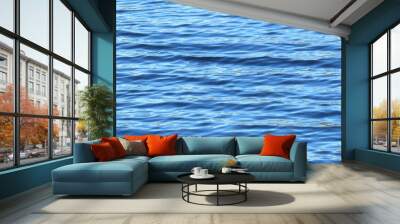 Panoramic view of light blue shining water surface with soft waves, natural background  Wall mural