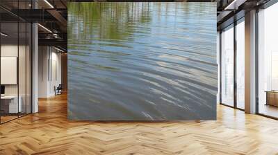 River water background in Florida nature, sky and trees reflection in the water Wall mural