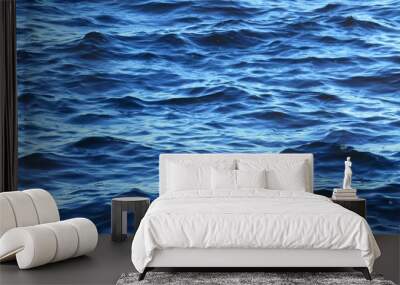 Waves on blue river water surface,  natural background  Wall mural