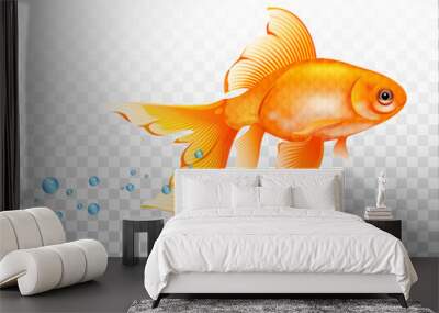 Floating goldfish underwater. Goldfish with air bubble. Realistic illustration on transparent background Wall mural