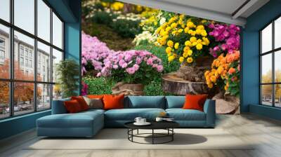 bouquet of beautiful chrysanthemum flowers outdoors Wall mural