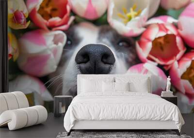 Black nose of dog in spring flowers pink, white and yellow tulips. Wall mural