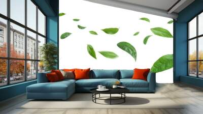 Green leaves flying in the air isolated on background. Wall mural