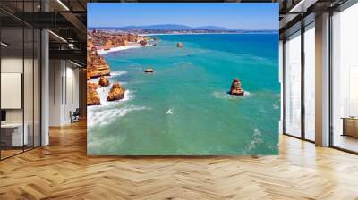 Aerial from natural rocks near Lagos in Portugal Wall mural