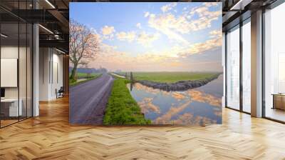 Typical dutch landscape at sunset Wall mural