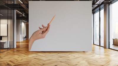 Woman's hand holding a wooden color pencil isolated on a light gray background Wall mural