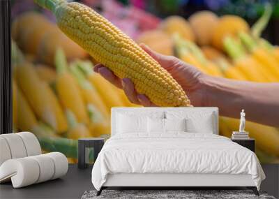 Female hands holding organic raw sweet corn in a farmers market, fresh and healthy food shopping. Newly harvested corn. Ripe corncobs with blurred background Wall mural