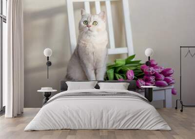 A beautiful white cat sits with bouquet of tulips, on a light background. Wall mural