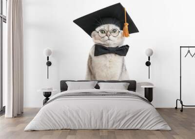 funny cat sits in a black graduation hat, bow tie and glasses, isolated on a white background Wall mural