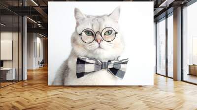 Funny white cat in a gray bow tie and glasses, on white background . Wall mural