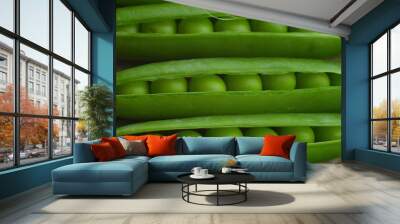 New harvest of fresh ripe green peas. legumes.Green peas and pea pods on wooden background.Close-up Wall mural