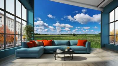 Vibrant summer landscape with blue sky and fluffy clouds in a green meadow Wall mural