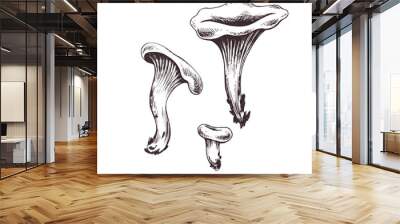 Mushrooms forest edible chanterelles orange. Graphic botanical illustration hand drawn in brown ink. For recipes, packaging, autumn festival, harvest. set of elements. Wall mural