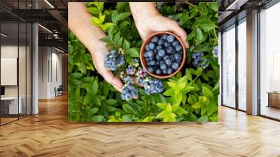  blueberries in the garden close-up Wall mural