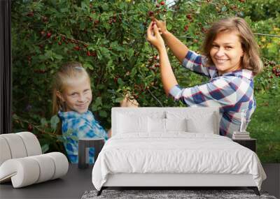  Family picking red cherry from tree in summer garden. Wall mural