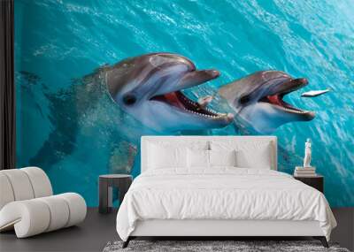 A group of cute smart dolphins eating fish in the ocean Wall mural