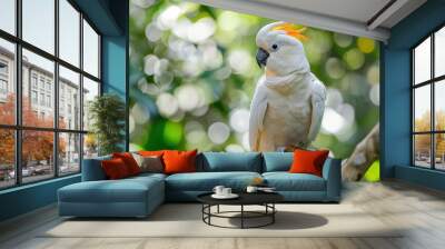 White parrot perched on a tree branch, with beautiful natural views. Wall mural