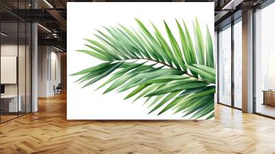 Watercolor coconut leaves branch clipart isolated on transparent background Wall mural