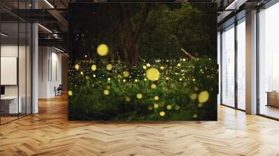 Fireflies fly in the wood or forest at night Wall mural