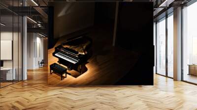 black grand piano at spot light in dark room Wall mural