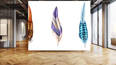 Colorful detailed bird feathers, isolated on white background.  illustration. Wall mural