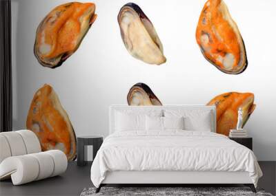 Top view set of steamed or cooked green mussels meat isolated in png file format Wall mural