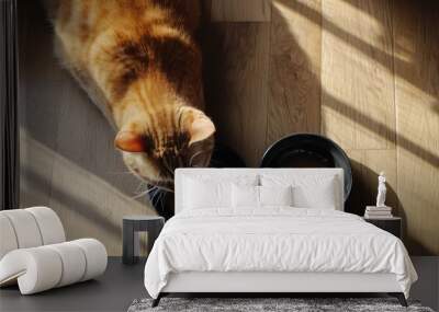 An orange tabby cat enjoying its meal from two black bowls, casting soft shadows on a warm wooden floor. Wall mural