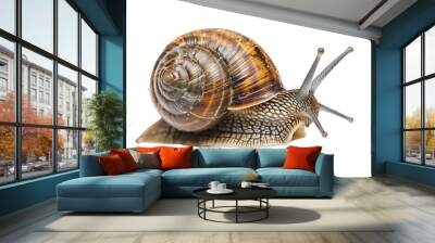 A Full Body Snail with a Transparent Background PNG Wall mural