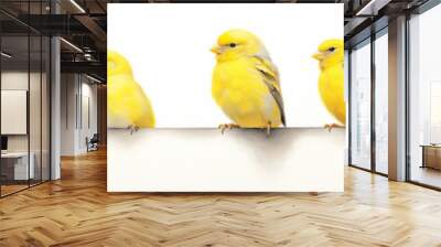 A Minimal Watercolor Banner of a Row of Canaries on a White Background Wall mural