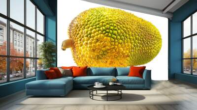 A Single Jackfruit with a Transparent Background PNG Wall mural