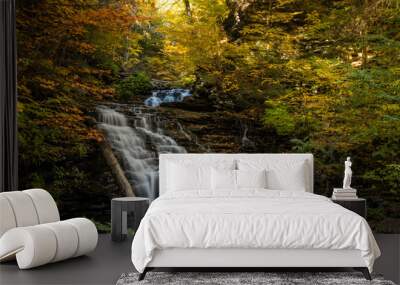 colorful autumn foliage with calming cascading waterfall in Pennsylvania. Wall mural