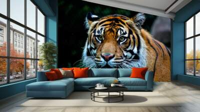 Gorgeous Tiger Wall mural