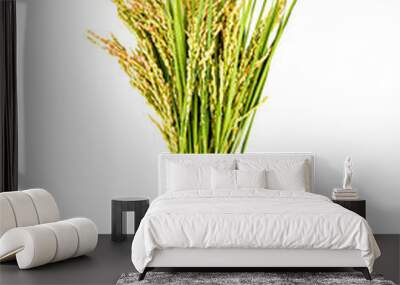 japan rice on transparent p n g Wall mural