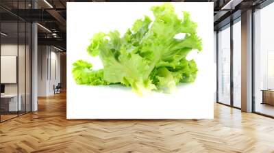 Lettuce leaf on white back ground Wall mural