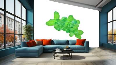 mint leaf  isolated on transparent png Wall mural